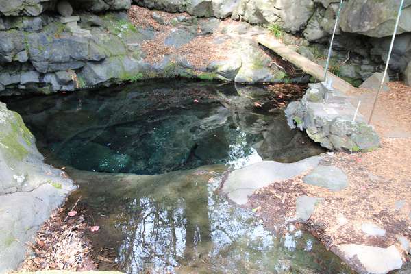 湧水が貯まっている小さな池と小さな鳥居。神社らしきもの