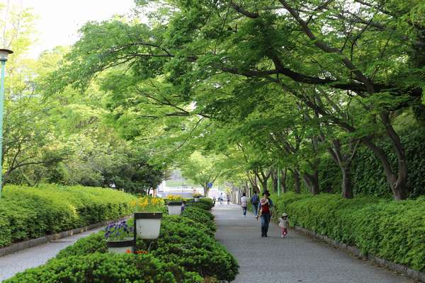 浜松城公園。新緑が美しいですね