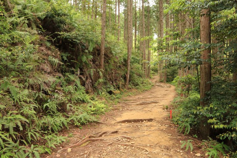 熊野古道、人気No.1のおすすめコースを歩いてみたよ 気まま旅Life 熊野古道、人気No.1のおすすめコースを歩いてみたよ 気まま旅Life